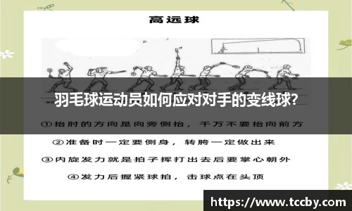 mk体育官网登录平台