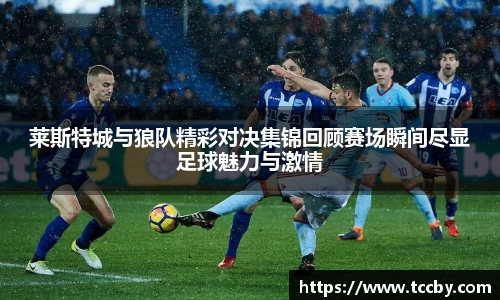 莱斯特城与狼队精彩对决集锦回顾赛场瞬间尽显足球魅力与激情