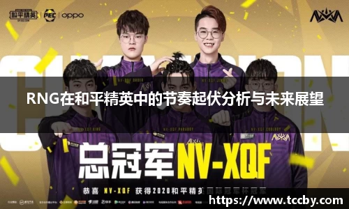 RNG在和平精英中的节奏起伏分析与未来展望