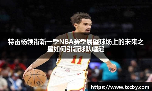 特雷杨领衔新一季NBA赛季展望球场上的未来之星如何引领球队崛起