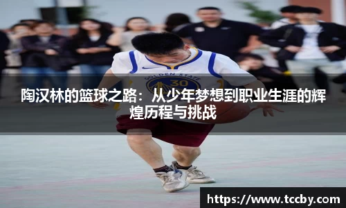 陶汉林的篮球之路：从少年梦想到职业生涯的辉煌历程与挑战
